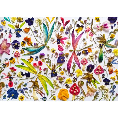 Fées Et Libellules - Puzzle 1000 Pièces