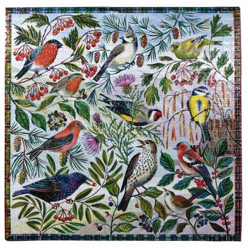 Birds Of Scotland - Puzzle 1000 Pièces