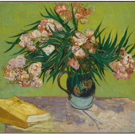 Van Gogh Vincent : Lauriers Roses,1888 - Puzzle 1000 Pièces