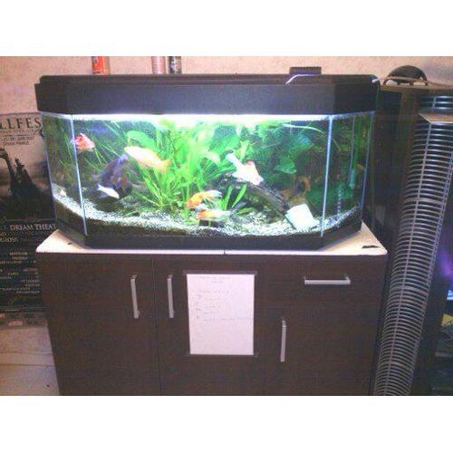 Aquarium Complet 120 Litres