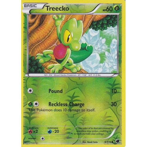 Carte Pokemon - Treecko - ( Arcko ) - 6/116 - Reverse - Glaciation Plasma - Version Anglaise -