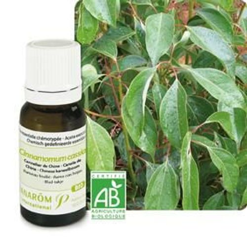 Huile Essentielle Cannelle De Chine Bio (Cannelier) 10 Ml 