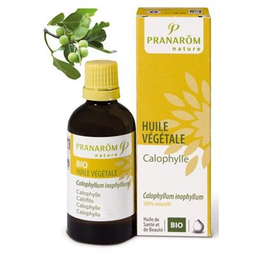 Huile Végétale Calophylle Bio 50 Ml 