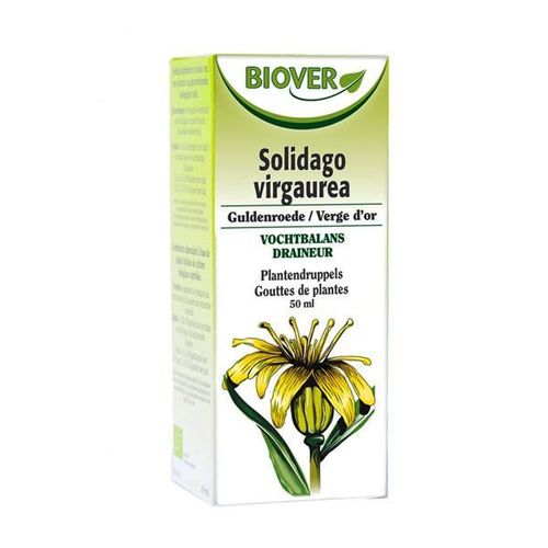 Teinture Mère De Verge D'or Bio 50 Ml 