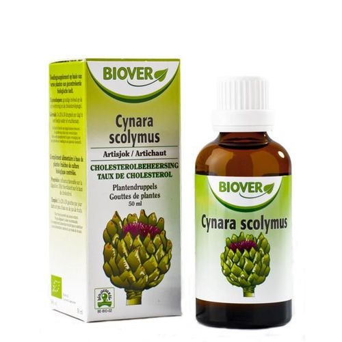 Teinture Mère D'artichaut Bio 50 Ml 
