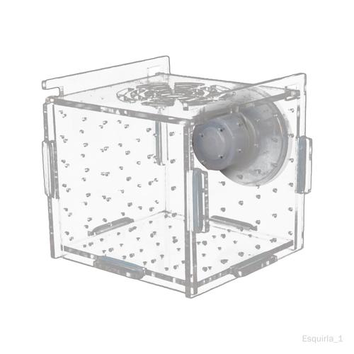 Boîte D'élevage De Poissons, Incubateur D'éclosion Pour Bébé Crevettes 6cmx6cmx6cm