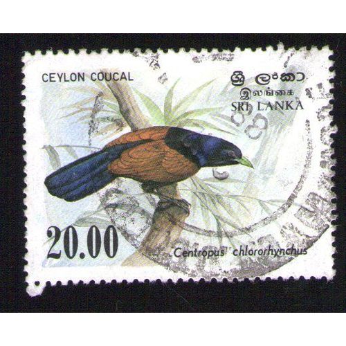 Sri Lanka Oblitération Ronde Used Stamp Oiseau Bird Ceylon Coucal De Ceylan Centropus Chlororhynchus