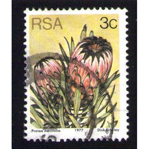 Afrique Du Sud 1977 Oblitération Ronde Used Stamp Fleur Flower Protea Neriifolia