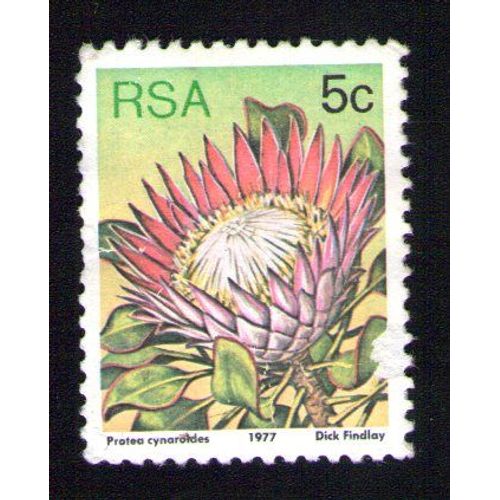 Afrique Du Sud 1977 Timbre Used Stamp Fleur Flower Protea Cynaroides