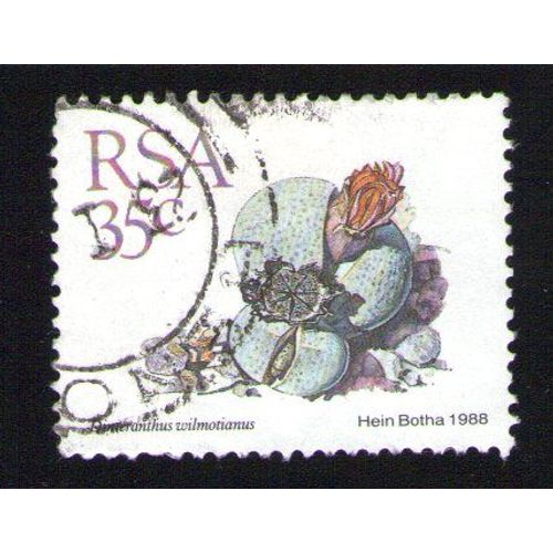 Afrique Du Sud 1988 Oblitération Ronde Used Stamp Fleur Flower Dinteranthus Wilmotianus