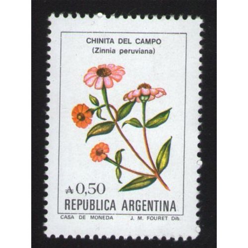 Argentine Flore Fleur Flower Chinita Del Campo Zinnia Peruviana