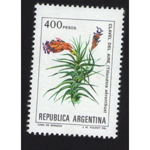 Argentine Flore Fleur Flower Clavel Del Aire Tillandsia Aëranthos