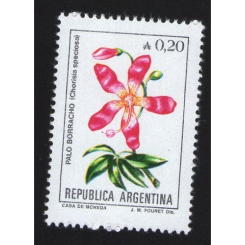 Argentine Flore Fleur Flower Palo Borracho Chorisia Speciosa