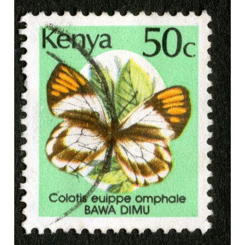 Timbre Oblitéré Kenya, Colotis Euippe Omphale, Bawa Dimu, 50 C