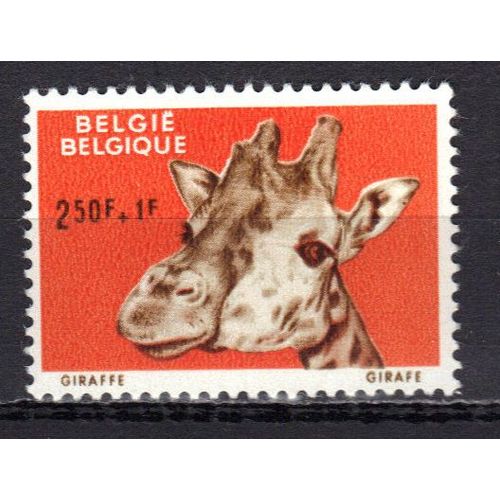 Belgique 1961 : Animal Du Jardin Zoologique D'anvers : Girafe - Timbre 2 F. 50 + 1 F. Orange Et Brun Neuf **