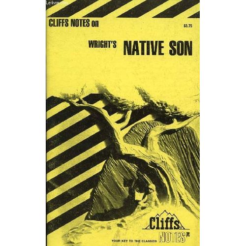 Cliffs Notes On Wright's " Native Son
