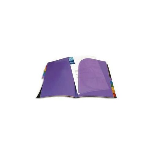 Viquel Protège-Documents Rainbow 12 Onglets Couleur. Format A4 , Coloris Noir