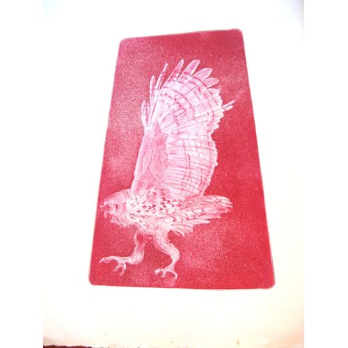 Gravure De Deroussen Vers 1980 "'oiseau Fantastique"