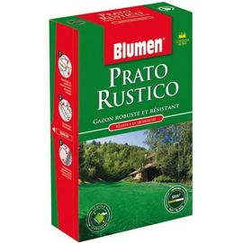 Gazon - Rustique - Graines - Robuste et résistant - Couverture 50m2/kg