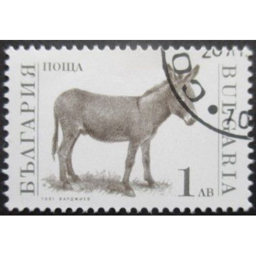 Bulgarie N°3395 Ane Oblitéré