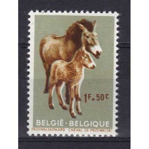Belgique 1961 : Animal Du Jardin Zoologique D'anvers : Cheval De Przewalski - Timbre 1 F. + 50 C. Gris-Olive Et Brun-Jaune Neuf **