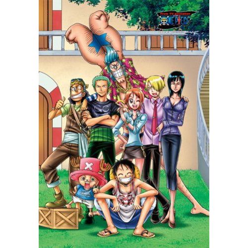One-Piece Puzzle
