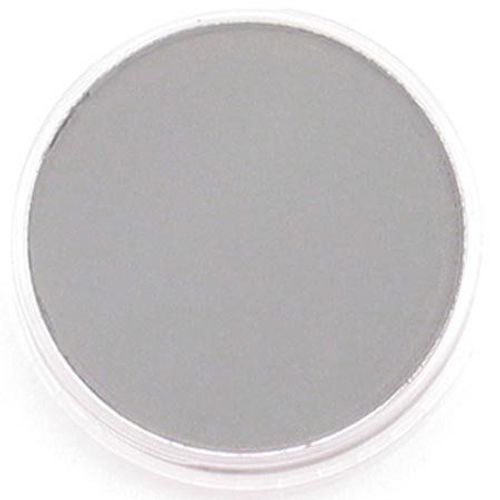 Panpastel - Peinture Pastel Pour Artiste - 820.5 Gris Neutre