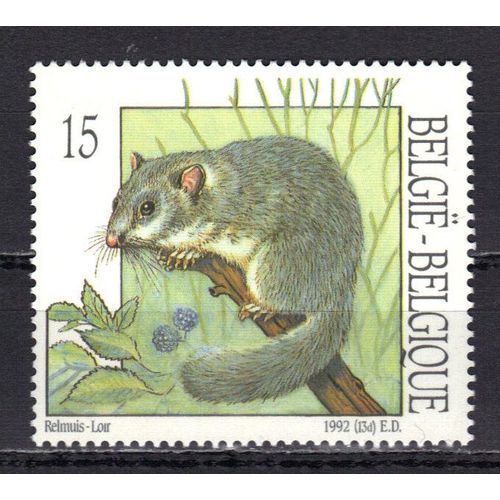 Belgique 1992 : Faune : Petit Mammifère : Loir - Timbre 15 F. Neuf **