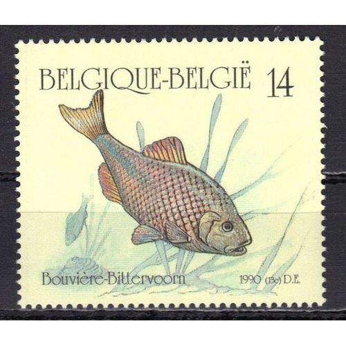 Belgique 1990 : Poisson D'eau Douce : Bouvière - Timbre 14 F. Multicolore Neuf **
