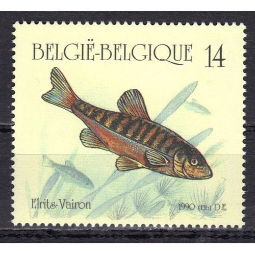 Belgique 1990 : Poisson D'eau Douce : Vairon - Timbre 14 F. Multicolore Neuf **