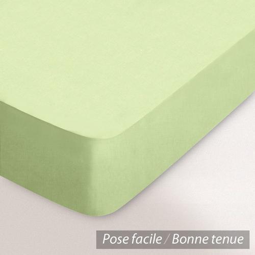 Drap Housse Uni 190x200 Cm 100% Coton Alto Reinette