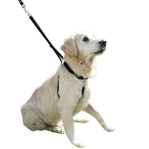 Harnais Dressage Maxi Leader Gentle Dog Noir Taille 3