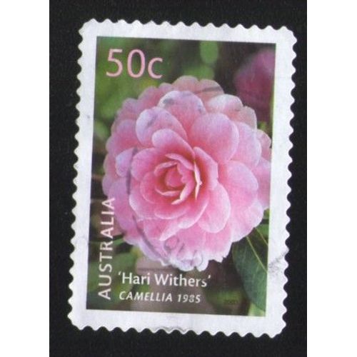 Australie 2003 Oblitération Ronde Used Stamp Hari Withers Fleur Flower Camellia