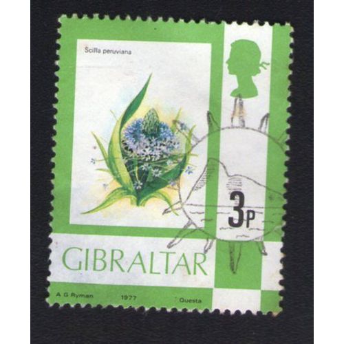 Gibraltar 1977 Oblitération Soleil Used Stamp Plante Scilla Peruviana Scille Du Pérou