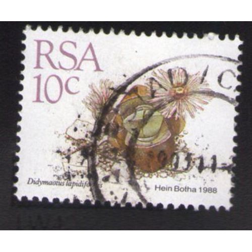Afrique Du Sud 1988 Oblitération Ronde Used Stamp Plante Vivace Didymaotus Lapidiformis