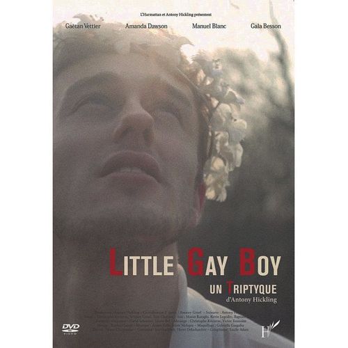 Little Gay Boy : Un Triptyque D'antony Hickling