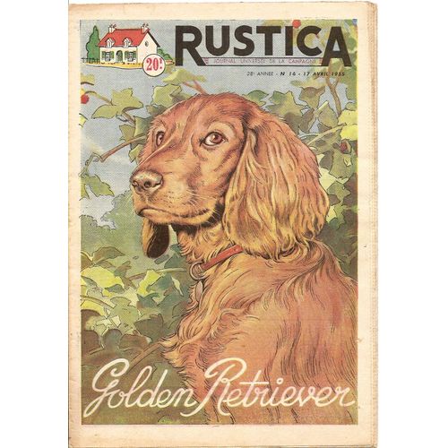 Rustica 16 - Le Golden Retriever