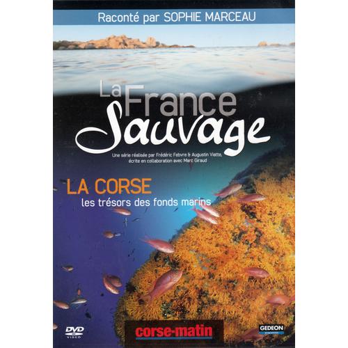La France Sauvage - La Corse, Les Trésors Des Fonds Marins