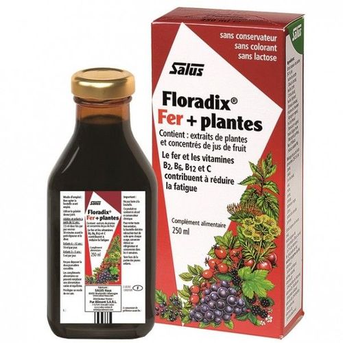 Floradix Fer + Plantes - 250 Ml 