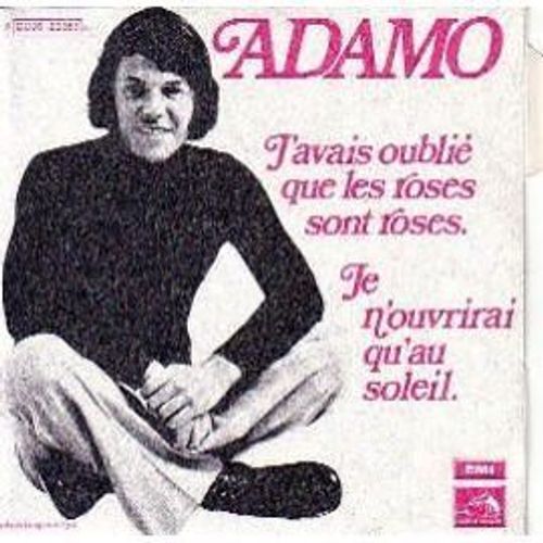J Avais Oublie Que Les Roses Sont Roses