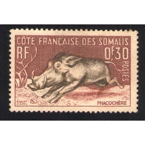 France Côte Française Des Somalis Phacochère