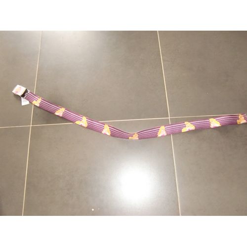 Ceinture La Belle Au Bois Dormant Princesse Disney