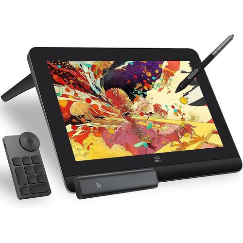 XP-PEN Artist Pro 14 (Gen 2) Tablette Graphique Dessin avec Écran Laminé, Stylet Passif à 16K(16384) Niveaux de Pression, Télécommande de Raccourci Fourni, Support Pliable