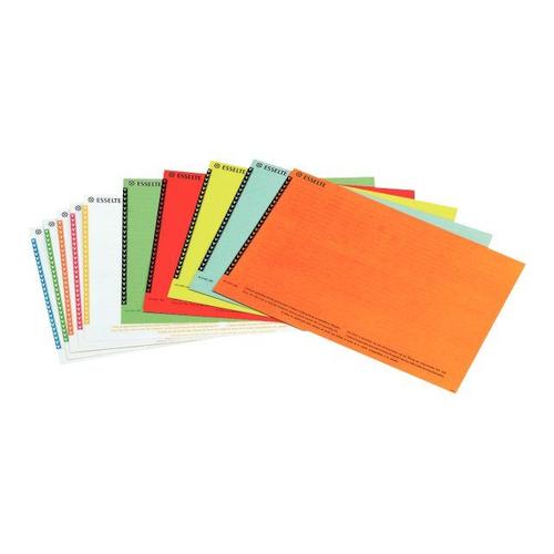 Esselte Orgarex - Étiquettes - couleurs assorties - 138 x 220 mm -