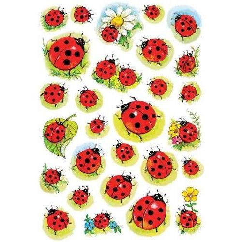 Herma Sticker Decor "Coccinelles Et Fleur"