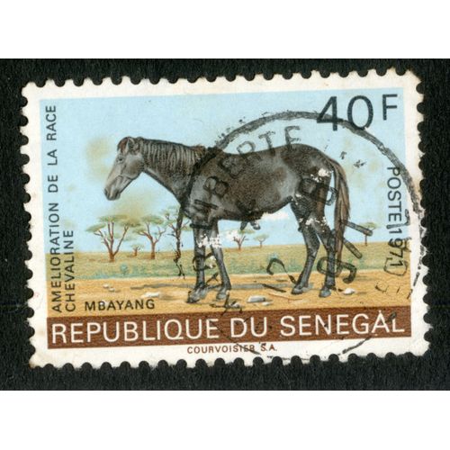 Timbre Oblitéré République Du Sénégal, Amélioration De La Race Chevaline, Mbayang, Poste 1971, 40f