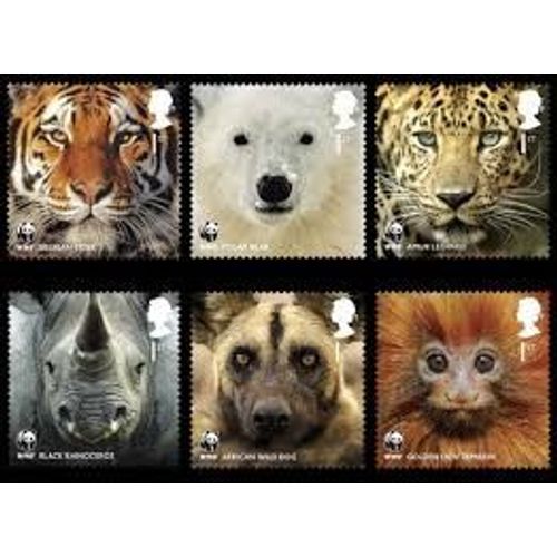 Animaux Sauvages 500 Timbres Différents Tous Pays