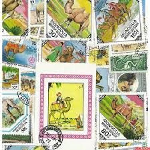 Camelides 25 Timbres Différents Tous Pays