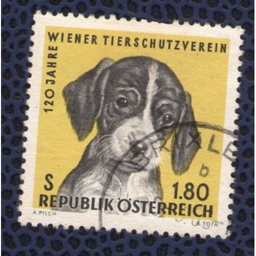 Autriche 1966 Oblitéré Rond Used Stamp Dog Chien Foxhound Anglais