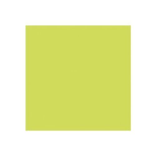 Clairefontaine Pollen - Cartes en papier en fibre teintée - vert bourgeon - 135 x 135 mm - 210 g/m² - 25 carte(s)